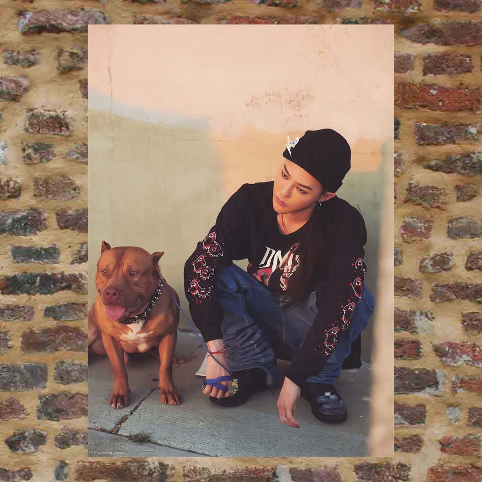 Qian Zhilong poster custom GD245 a total of 576 models full of 8 A3 pictures surrounding Photo G-DRAGON