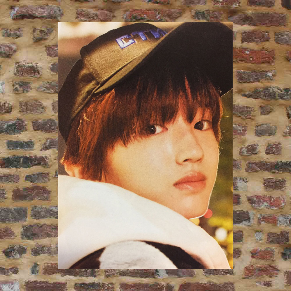 The Tao Branch Jun You poster PLP403 for a total of 99 pieces of 8 A3 photos surrounding wall stickers photo pictures