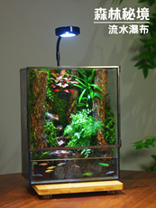Декоративное мини-растение 微花房苔藓微景观耐养 Micro/greenhouse