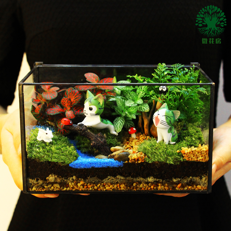 Moss Creative Micro -Waldscape Ecological Bottle Office Office Pountop Pot Pount Plant Plant Commit Diy День рождения подарок