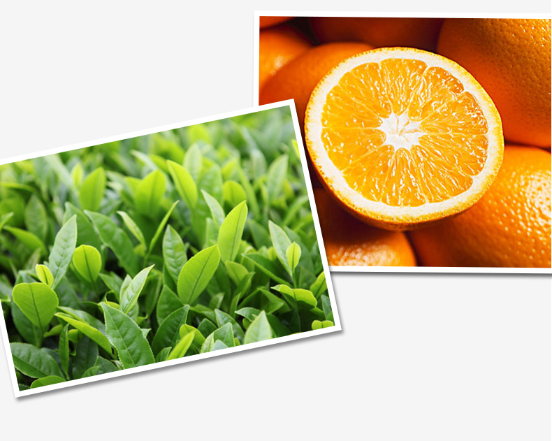 亮荘理发店大桶酒店沐浴露洗发水护发素民宿专用批发洗护持久留香详情11