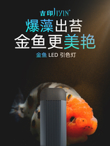 Jiyin full spectrum algae bursting lamp led grass tank lamp goldfish special fish tank lamp aquarium lighting waterproof aquatic grass lamp