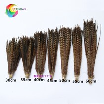  Warm book feathers hot-selling pheasant tail multi-size 15 to 65cm Photography film and television props Home decoration