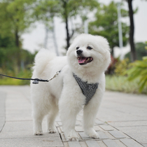 Doug bird pattern dog rope chest back leash puppy small dog walking dog rope Teddy Schnauzer cat rope