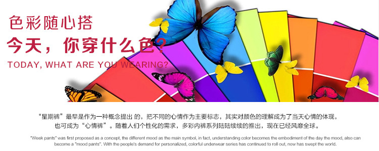 Slip jeunesse QIANLEE Q8001 en viscose - Ref 646312 Image 13