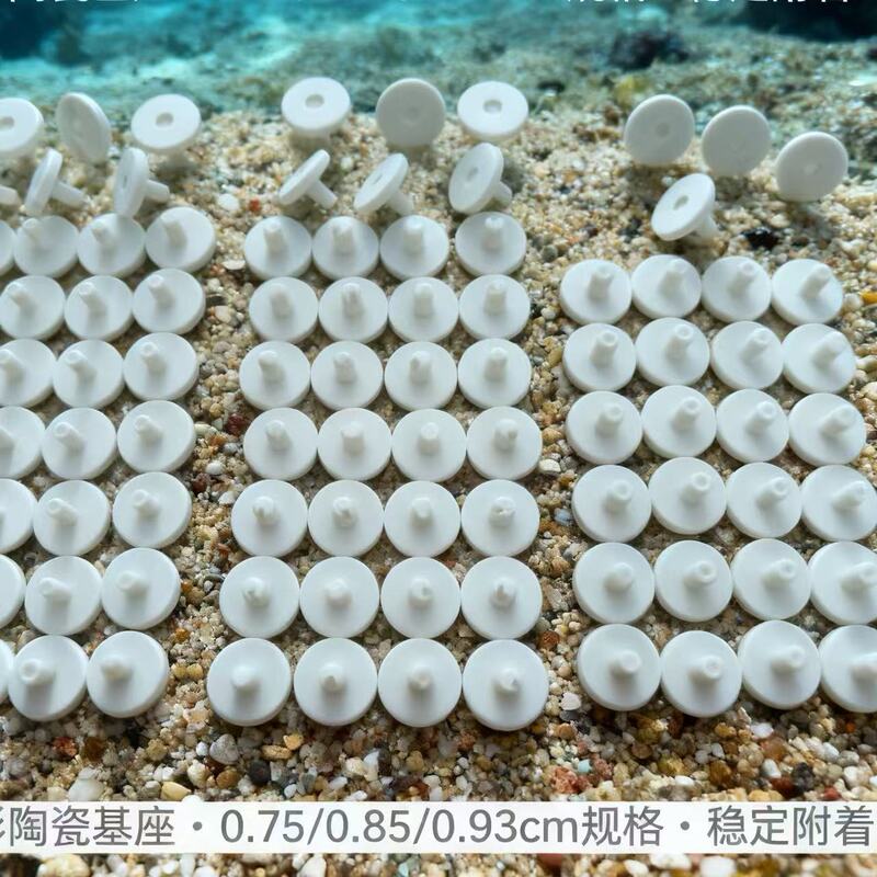 T-Shaped 8.5mm Foot Width Movable and Pluggable T-Shaped Coral Base Sps Branch Breakage Base Bracket Tray