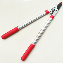 Rough Branches Cut Garden Cut Garden Cut Prunes Cut Branches Cut Flowers Wood Cut Green Fence Cut Thick Branches Vigorously Cut Winter Greens Cut