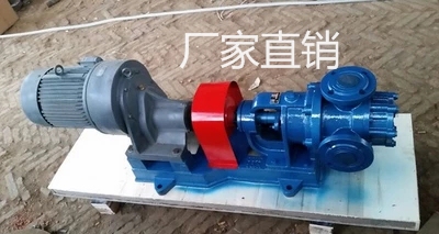 Nyp Inner Ring Type High Viscosity Pump Resin Pump Latex Thick Oil Pump Honey Pump Paint Pump Asphalt Pump