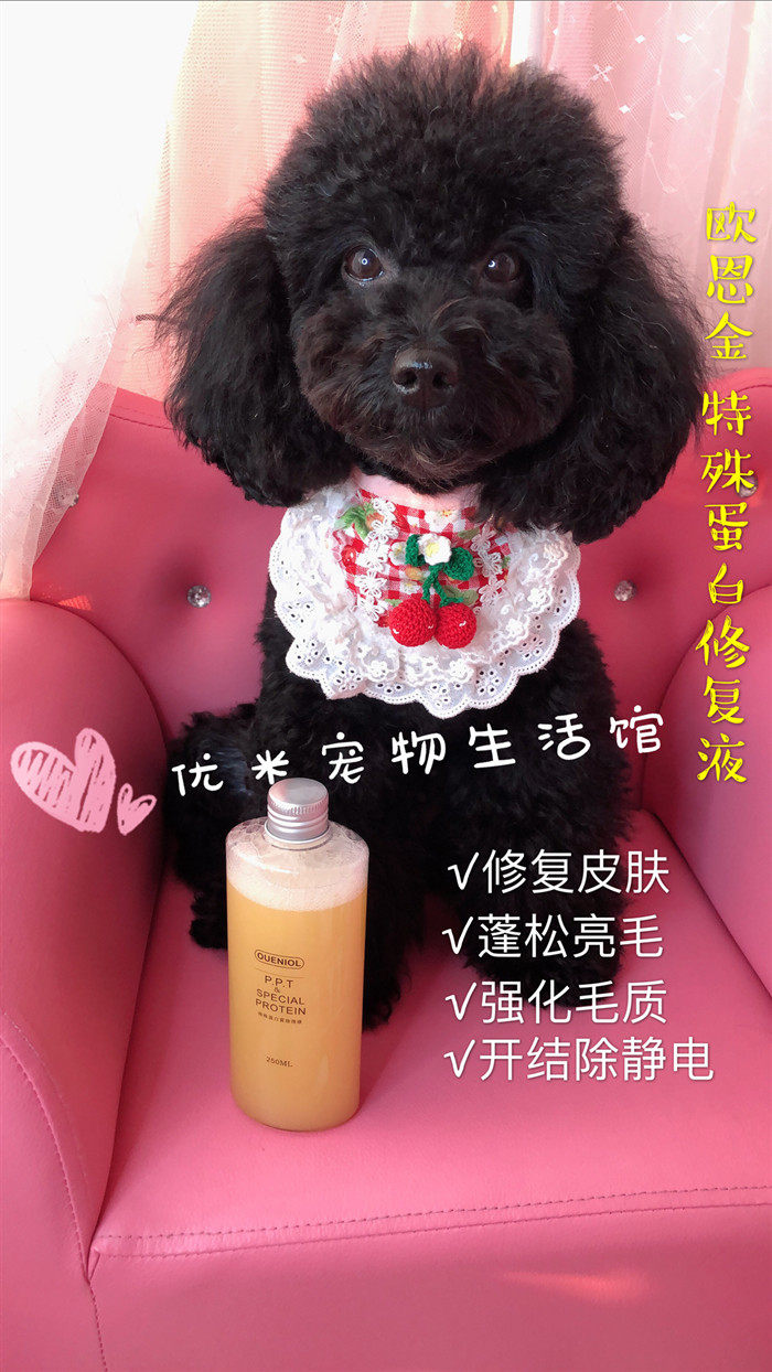 Amy Youyou OUENIOL OENJIN PPT special protein hair conditioner anti-static 250ml