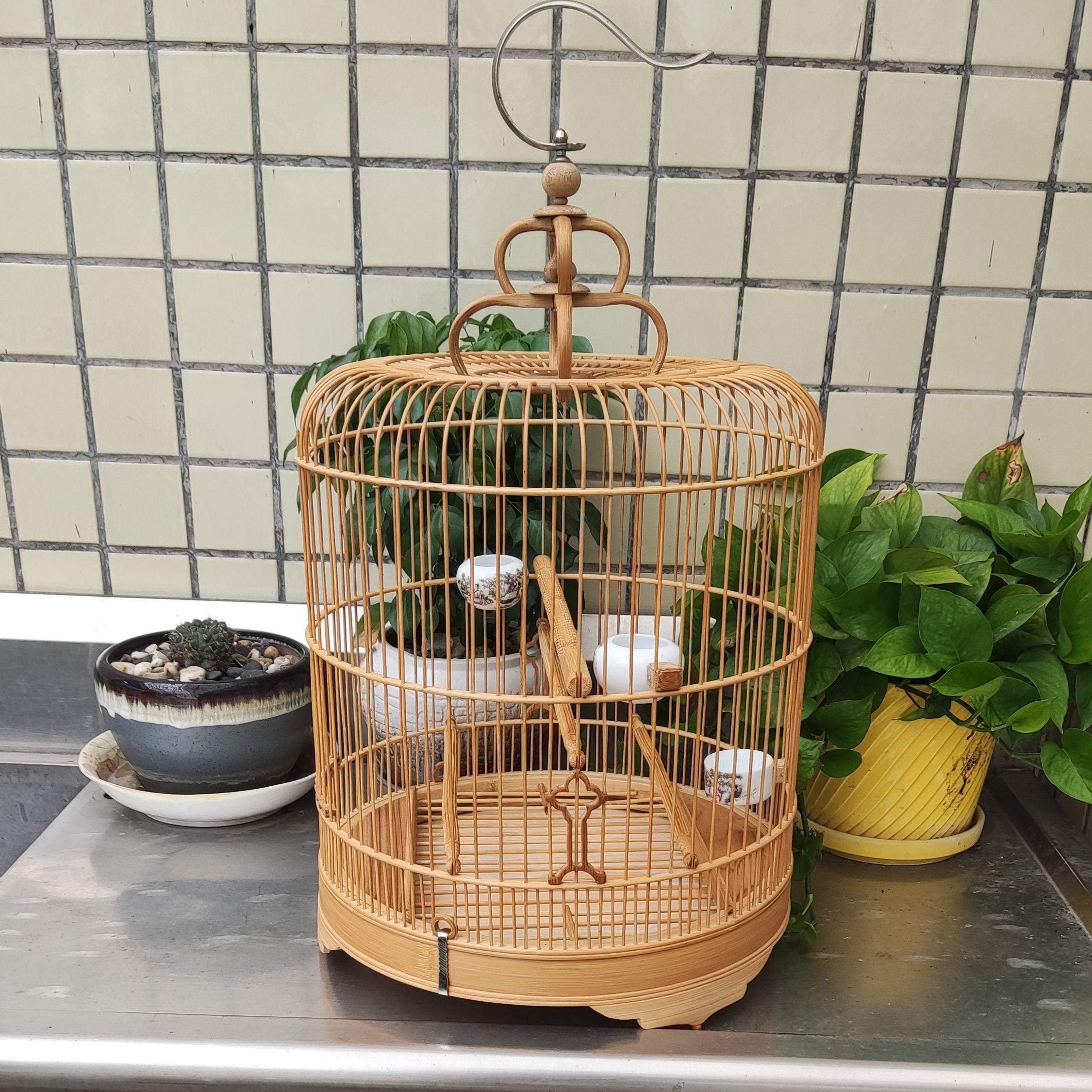 31.5/33实惠款两用鸟笼：养鸟新手必备！轻松搞定四喜笼与广笼-鸟