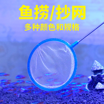 Fish tank fish fishing small fish fishing net pocket net goldfish tank fishing net Crystal shrimp tropical fish net fishing Aquarium cleaning