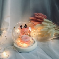 Valentines Day Gift Eternal Flower rose Gift Box Crystal Ball Little Elk rose Birthday only Gift for Girlfriend