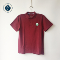 Yanan junior high school summer new polo shirt multi-color optional(full size reservation)