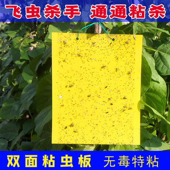 Double-Sided Sticky Insect Trap Board, Yellow Insect Trap Paper, Yellow Sticky Trap for Small Flying Insects, Fruit Fly Trap, Sticky Board for Orchards and Greenhouses