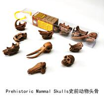 Simulation model monster toy prehistoric animal skull soft plastic kindergarten teaching aids children baby early education static