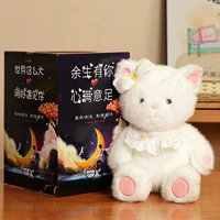 Кот+Цветная коробка [Тот же стиль в комнате прямой трансляции интернет-знаменитостей]