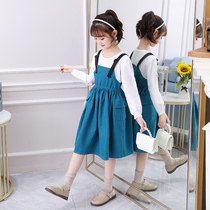 Childrens clothing girls dress 2022 spring and autumn new baby childrens cute fake two-piece daily puff sleeve skirt trendy