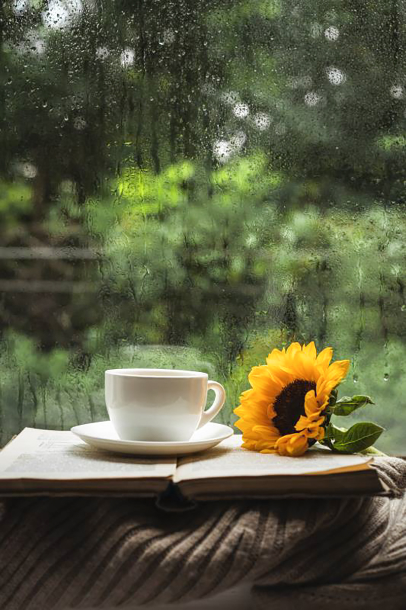 Sticky rice fragrant milk tea, yes, it's a new piece of Lingzi again and I'm very fond of it.