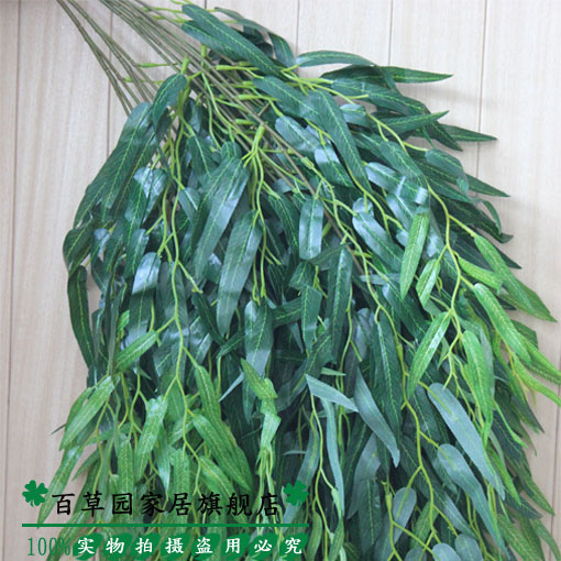 �ٲ�԰�ɻ����滨