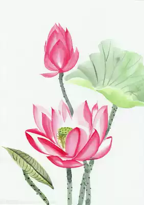 Universal hyperlinks