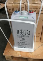 Shuangdeng battery 2V300AHGFM-300 communication power supply EPS power plant solar power plant