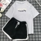 F139 Grey Grey