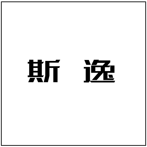 斯逸服饰 高端定制