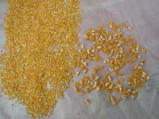 Chinese farmer self-grown corn corn grits Fine corn kernels Corn residue 250g