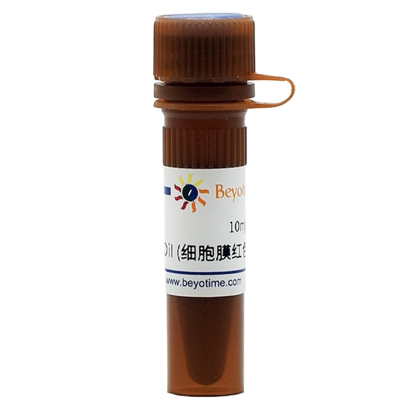 碧云天Beyotime C1036 DiI (细胞膜红色荧光探针) 10mg