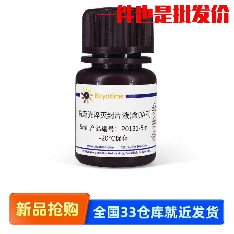 碧云天Beyotime P0131-5ml P0131-25ml 抗荧光淬灭封片液(含DAPI)