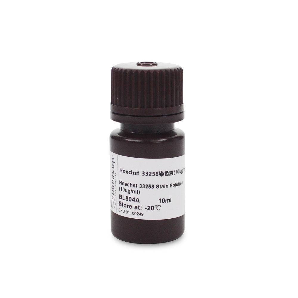 白鲨Biosharp BL804A Hoechst 33258染色试剂  (即用型 10ug/ml）