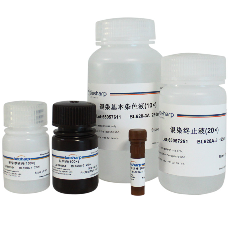 白鲨Biosharp BL620A 快速银染试剂盒 25T