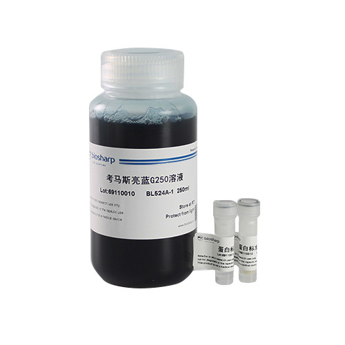 白鲨 biosharp BL524A Bradford蛋白浓度测定试剂盒 250ml -20℃