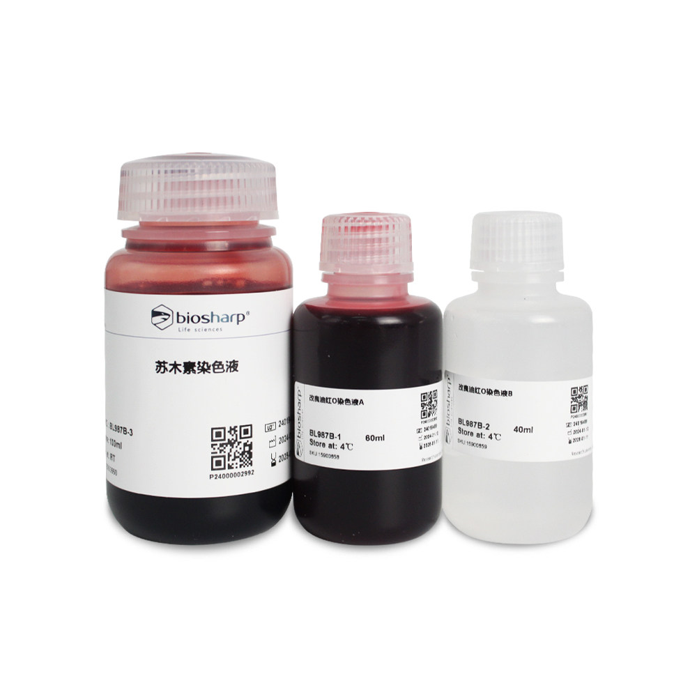 Biosharp白鲨 BL987A BL987B 改良油红O染色液