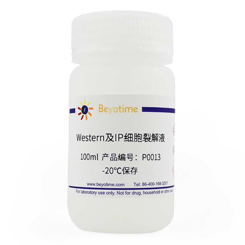碧云天生物 Beyotime P0013 Western及IP细胞裂解液 100ml