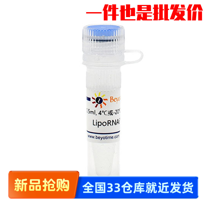 碧云天Beyotime C0535 LipoRNAi?转染试剂