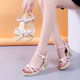 ເກີບເກີບຜູ້ຍິງລະດູຮ້ອນ 2023 one-piece buckle outdoor high heels versatile summer fish mouth Roman heel thick women's shoes trendy