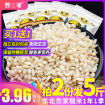 Buy 1 get 1 free Total 1000g_ Brown rice Northeast Wuchang Brown germ rice Xuan Rice Five grains Japanese rice whole grain pack