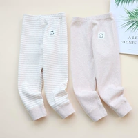 Мягкие бархатные гигиенические штаны с заплатками для щенков, 2 упаковки, светлые карточки