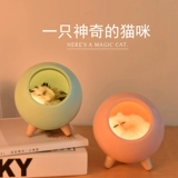 Практический подарок на день рождения девочкам, чтобы дать подругам и подругам ежегодную компанию.