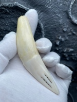 Natural fidelity camel teeth escort men and women atmospheric pendant playcollection of true teeth hands