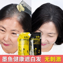 Korean cuttlefish juice ammonia-free hair dye cream plant pure self at home men and women cover white hair natural 300ml