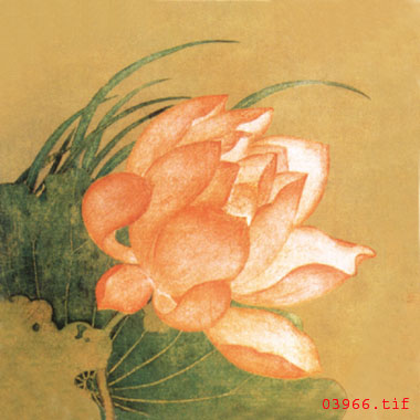 Su embroidery diy embroidery material embroidery pattern Hand embroidery Self embroidery embroidery tool kit Traditional diy handmade