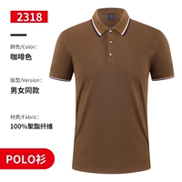 ZC196 Ice Sils-Brown