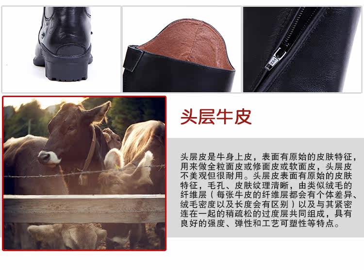 Article équitation - Ref 1382196 Image 27