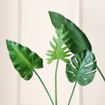 Simulation plantain leaf Calla lily fairy feather leaf Turtle back leaf large leaf green plant decorative bonsai simulation jewelry