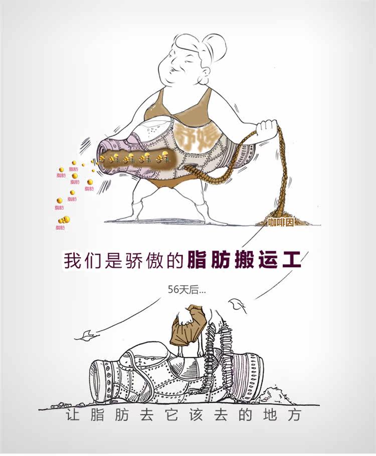 Sous-vêtement minceur SYUAN sexy en nylon - Ref 688524 Image 8