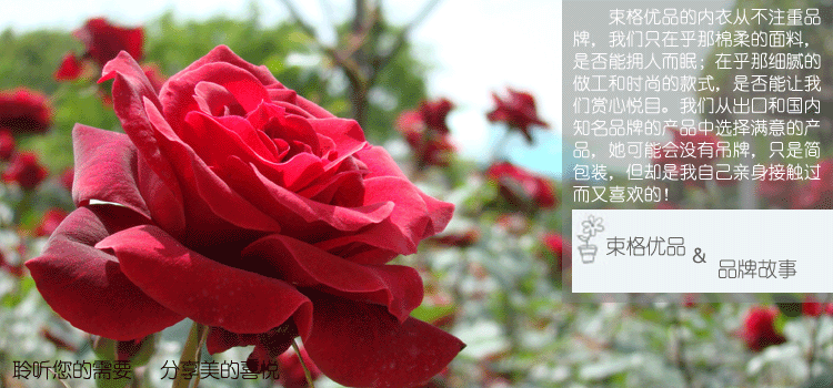 Corset amincissant en nylon - Ref 709845 Image 5