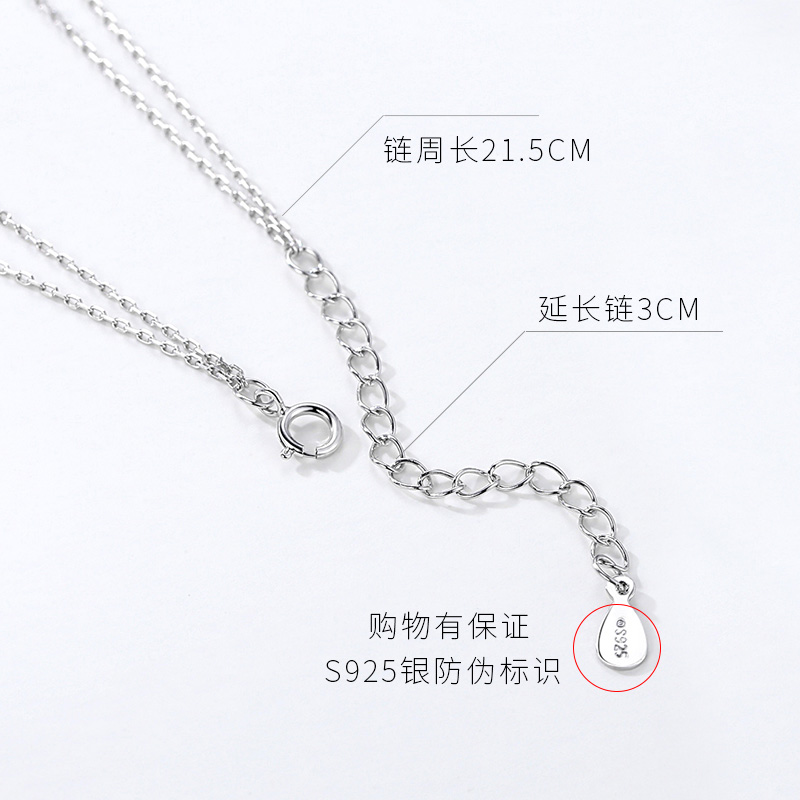 Bracelet de cheville Femme FROMLOVER     en Argenterie - Ref 3101893 Image 4