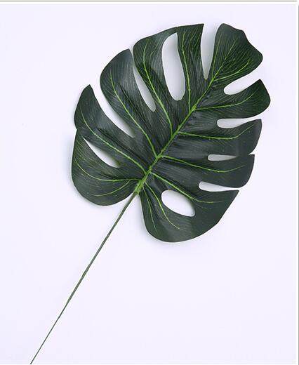 Nordic Minimal ins Simulation Leaf Tropical Plant Coconut Turtle Back Leaf Photograph Props Shooting Background Orders
